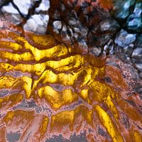 Unterwasser-Abstrakt