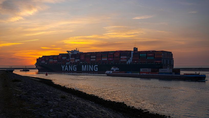 Yang Ming by René Nicolaes