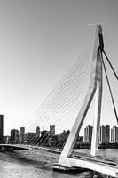 Erasmusbrücke in Rotterdam