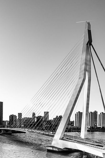 Erasmus Bridge in Rotterdam by vanrijsbergen