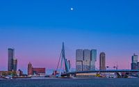 Skyline - Rotterdam
