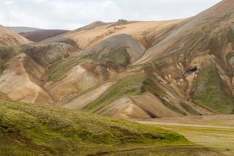 Icelandic Interior Landmannalaugur by Menno Schaefer