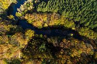 Herbstkulisse von oben