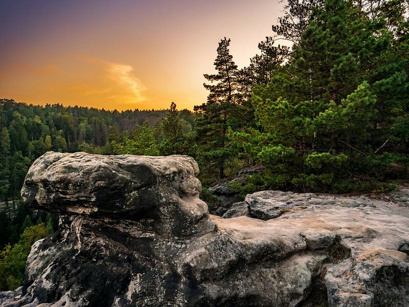 Goldsteinaussicht, Sächsische Schweiz - Über die Schlüchte von Pixelwerk