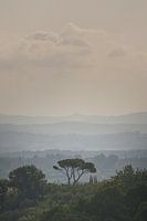 L'automne en Toscane, Italie