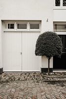 Giebel in Muurhuizen Amersfoort