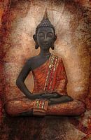 à l'abri de la lumière