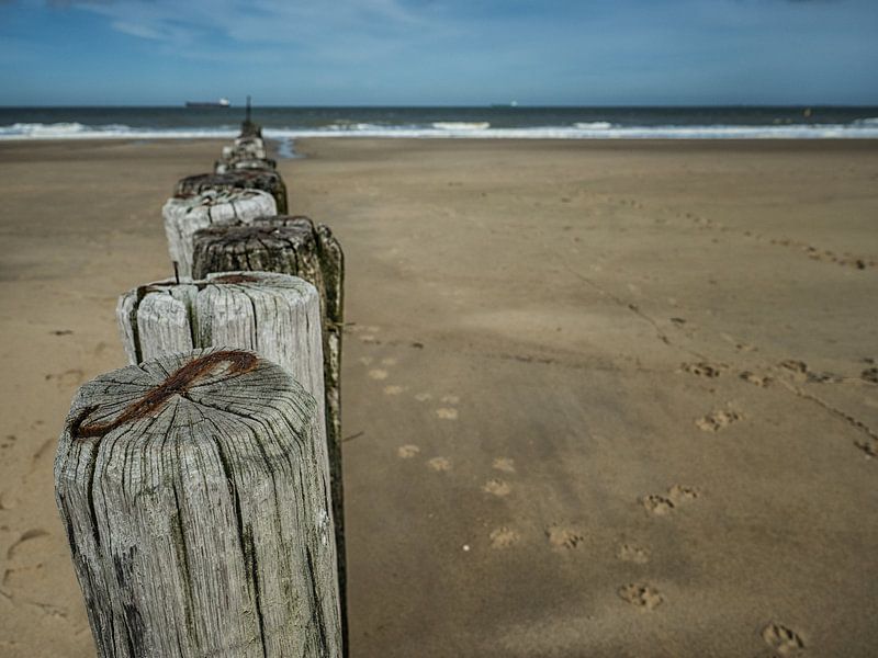 Postes (Couleur) par Lex Schulte