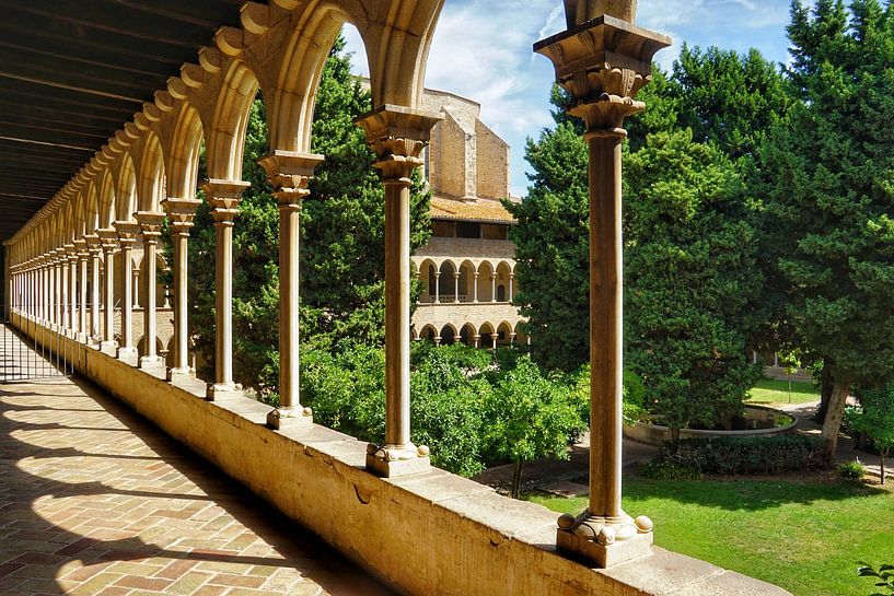 Barcelona 2025 by ELGER VERMEER