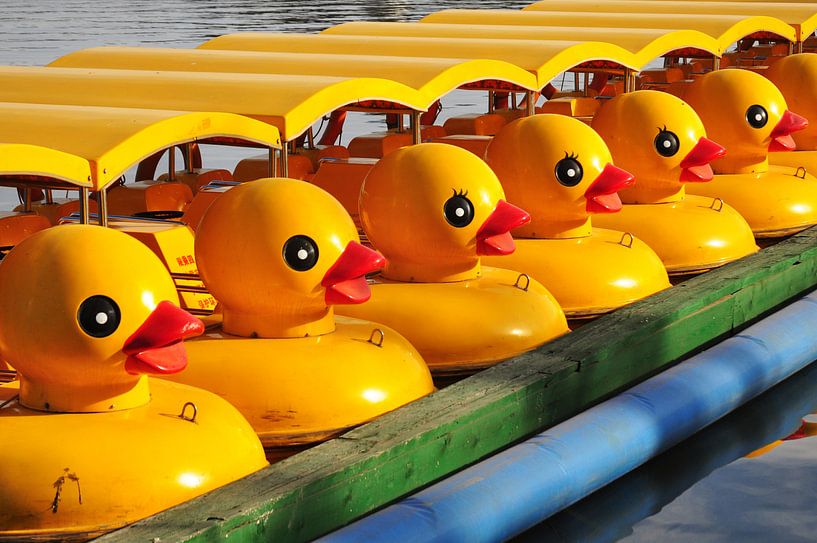 Booteenden van Rogier Vermeulen