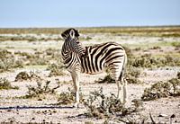 Waar zijn ze nou gebleven..