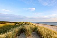 Duinen van Ameland