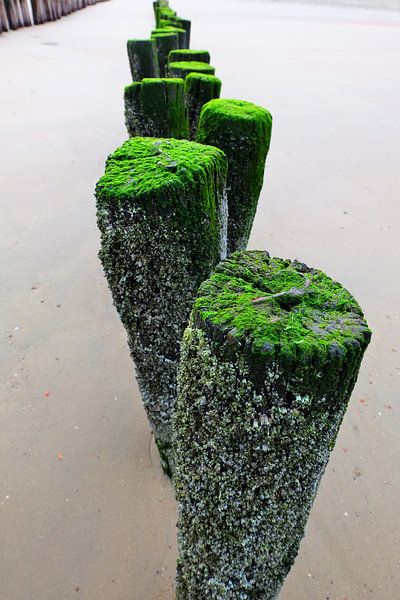 Golfbrekers op het strand. von Marian Klerx