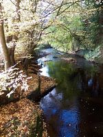 Een prachtig Herfstachtig beekje.