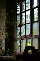 Fenêtre industrielle