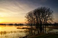 Zonsondergang in de Ooijpolder (Nijmegen)