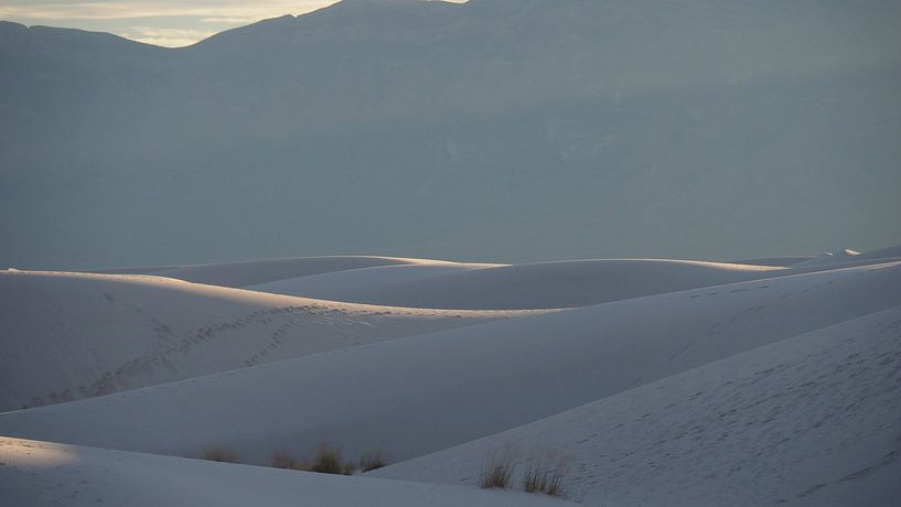 White Sands - New Mexico by Tonny Swinkels