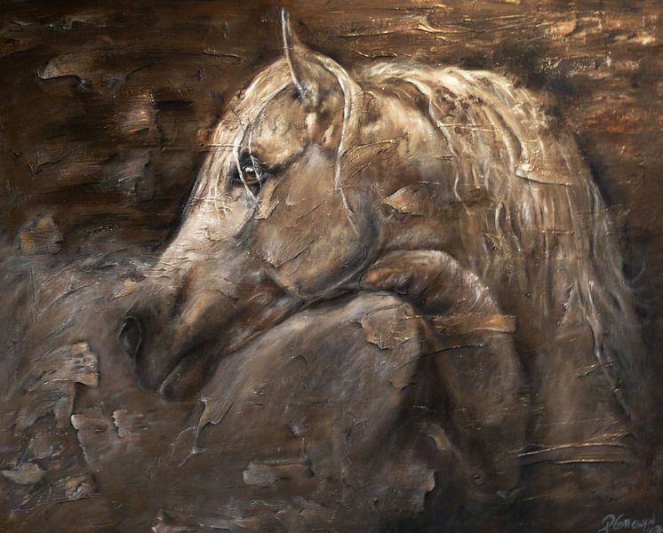 Kaschmir von Paula Collewijn