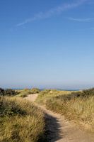 Strandpad naar de horizon