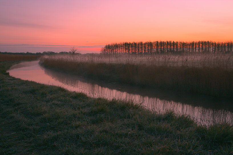 Ein kalter Frühlingsmorgen von Kelly Berghuis