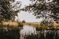 Paysage à Weerribben