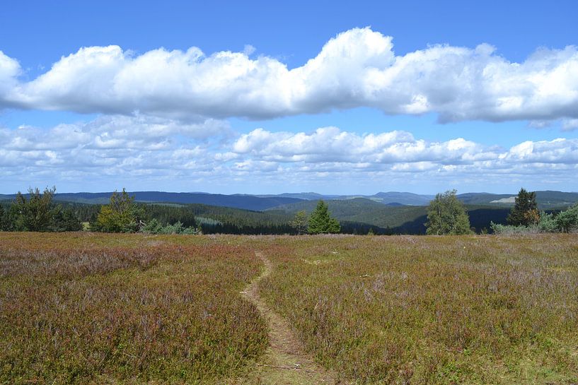 Winterberg, vue du Kahler Asten par Bernard van Zwol