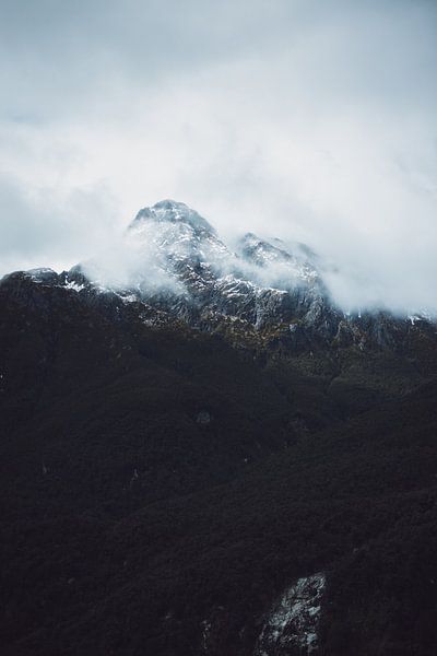 Doubtful Sound: undiscovered beauty by Ken Tempelers