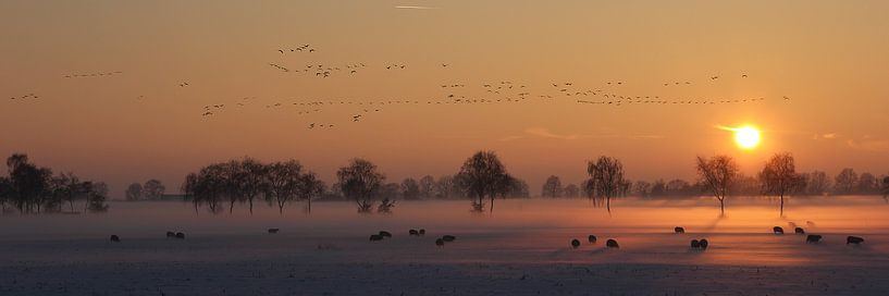 Winter sunset by Jan van Kemenade