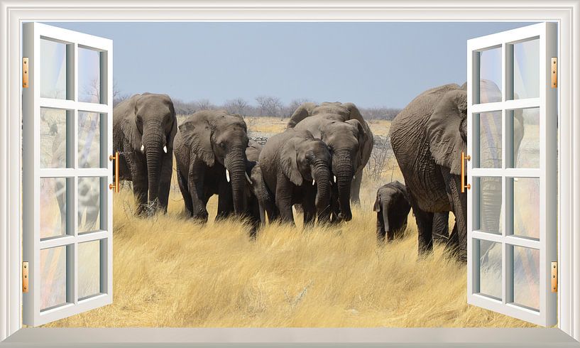 Ein atemberaubender Blick auf vorbeiziehende Elefanten von Bert Hooijer