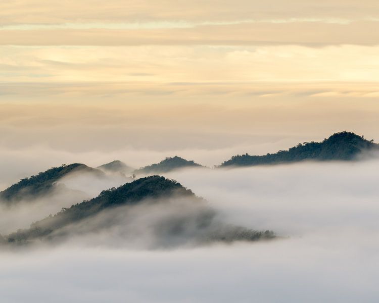 Wolkenmeer um die Berge von Alishan von Jos Pannekoek
