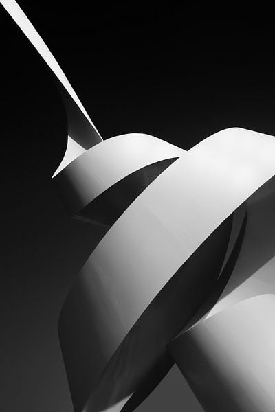 Die Schriftrolle von Joao Galamba