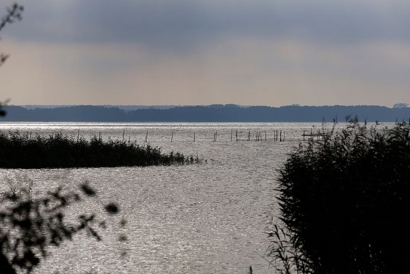 Usedom, Achterwasser par Thomas Jäger