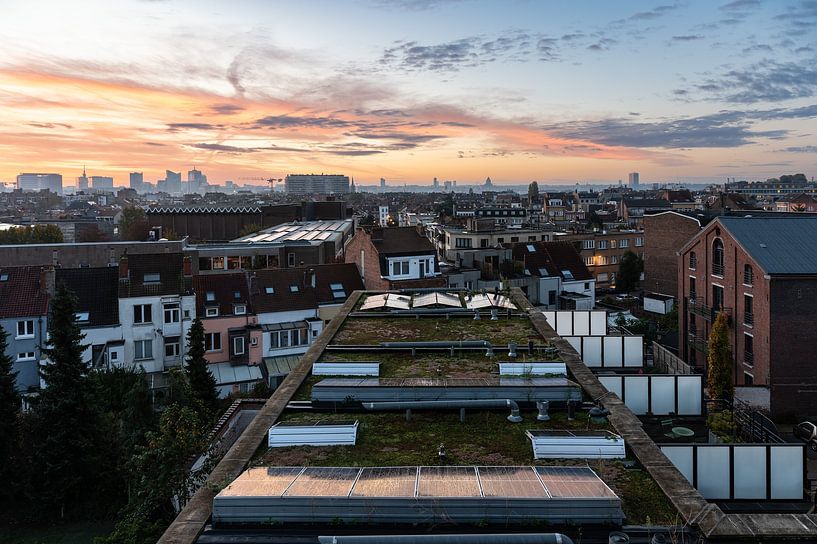 Les toits de Bruxelles par Werner Lerooy