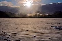 L'hiver dans le parc national de Dwingelderveld
