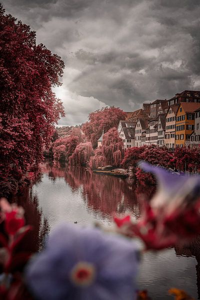 Neckarblick in Tübingen von 7R.Collection