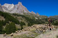 Hirte in den französischen Alpen 2