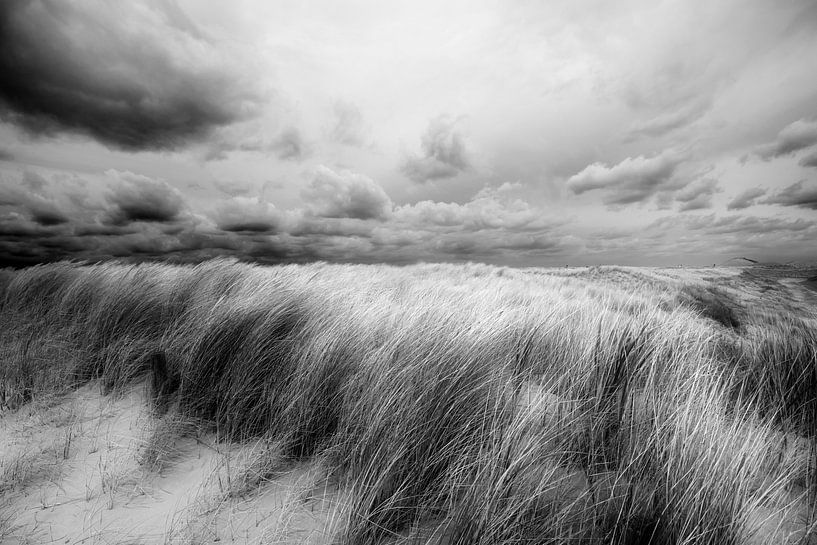 Düne bei Petten (N-H) von Peter Baak