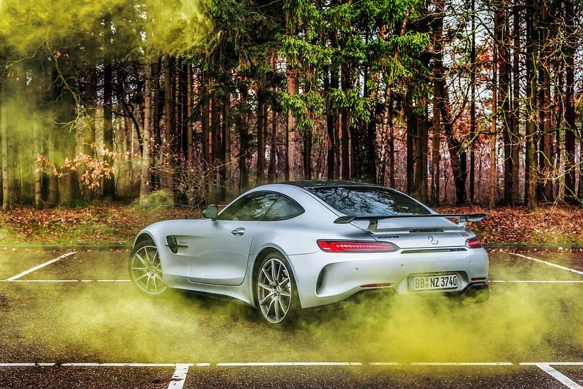 Mercedes-AMG GT R von Bas Fransen