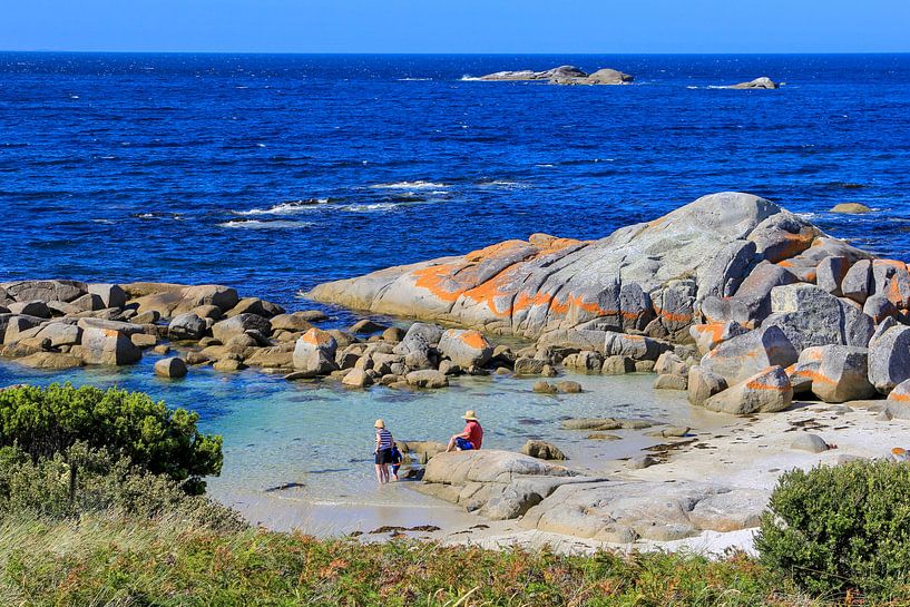 Die Feuerbucht von Tasmanien von Daphne de Vries