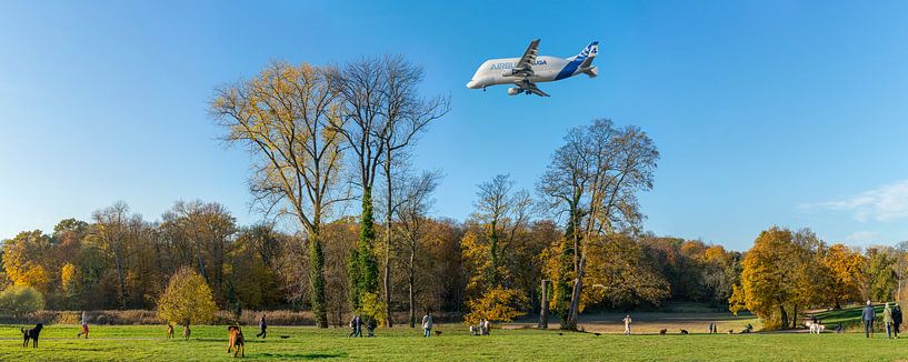 Jenischpark - BELUGA XING par Heinrich Wimmer