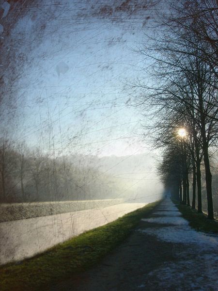 Frost von Andrea Meyer