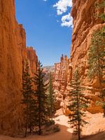 Bryce Canyon, Utah