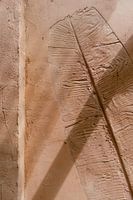 Terrakotta-Wand mit Blattform und Schattenspiel