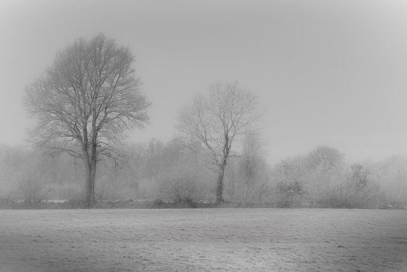 Winter landscape by Teo Goudriaan