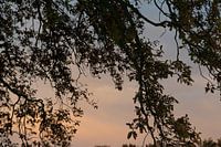 vertäumter sonnenuntergang