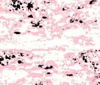 Abstract Lava Pattern In Light Pink And White