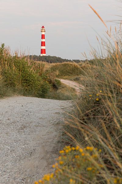 Ameland-Leuchtturm mit Straße durch hügelige Dünenlandschaft von Mayra Fotografie