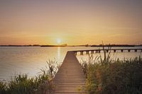 steiger van 't Roegwold