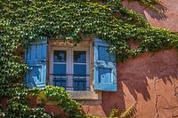 Wine entwined window in Provence