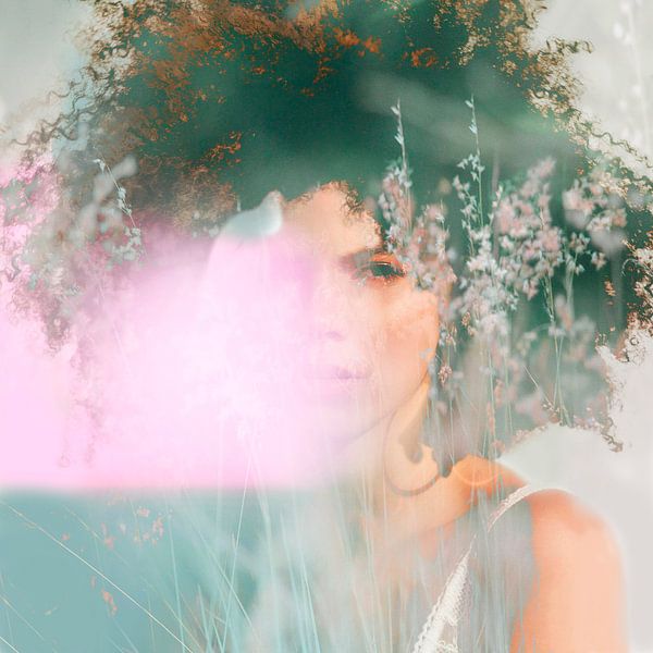 Blüte von joriën borghuis